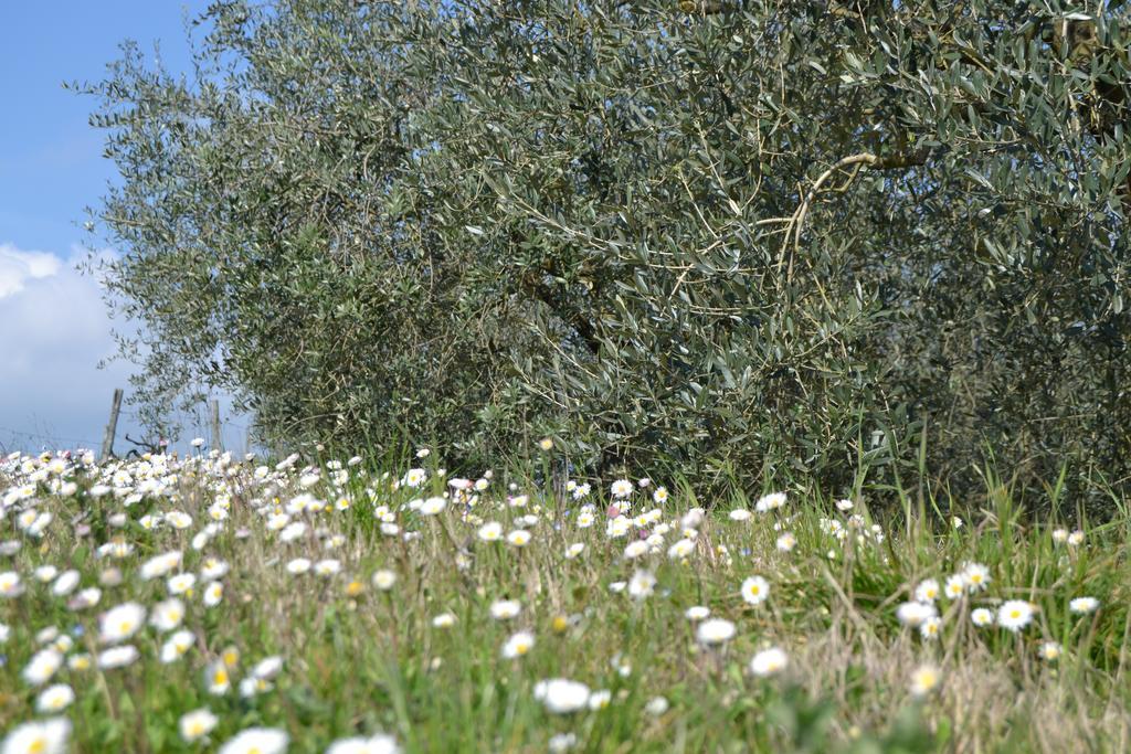 Rignano sullʼArno Agriturismo La Querce מראה חיצוני תמונה