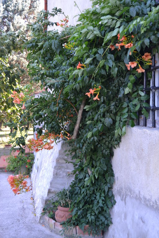 Rignano sullʼArno Agriturismo La Querce מראה חיצוני תמונה