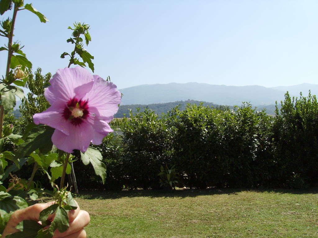 Rignano sullʼArno Agriturismo La Querce מראה חיצוני תמונה